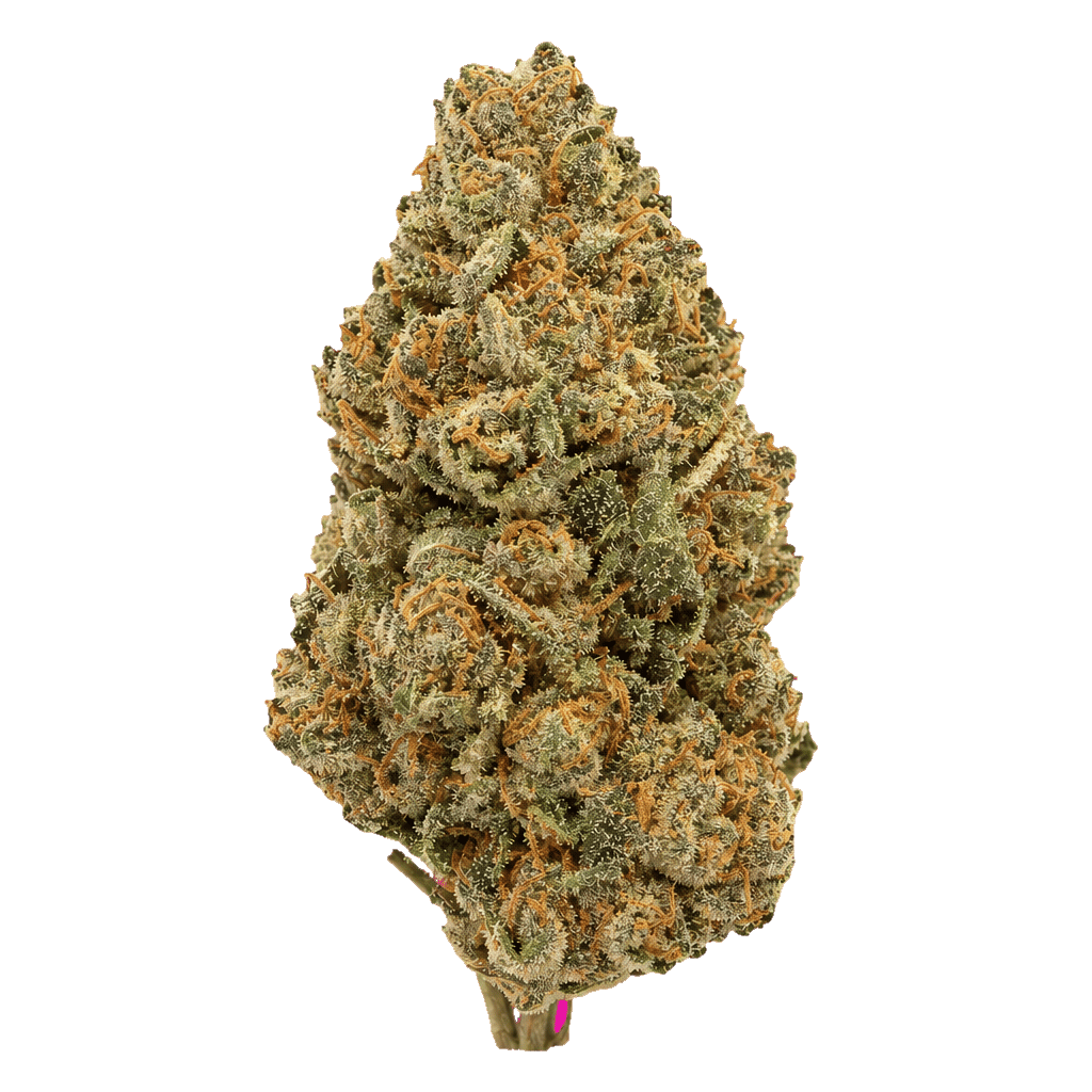 Legend OG