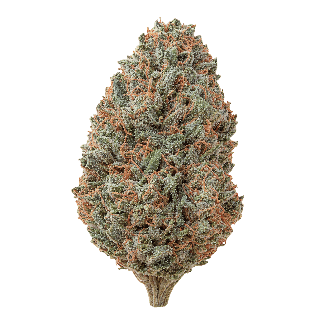 Afghani