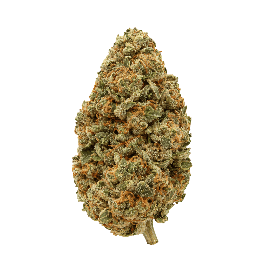 Orange Cookie Kush x Free World Chem