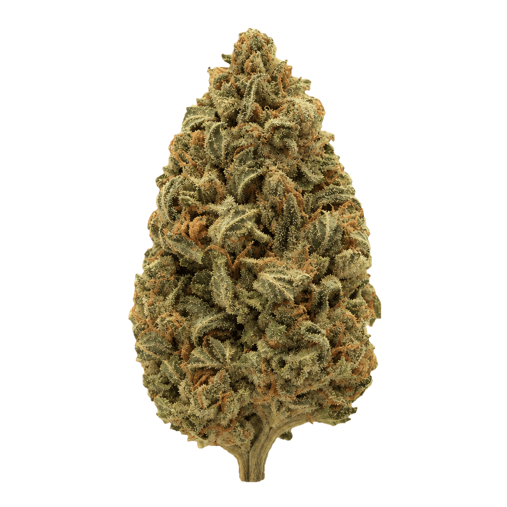 Supreme Kush