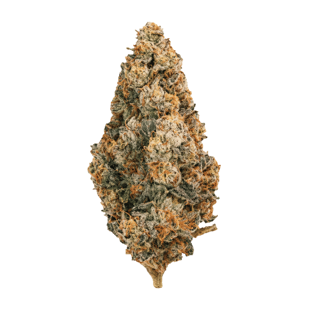 Scotti's Purps