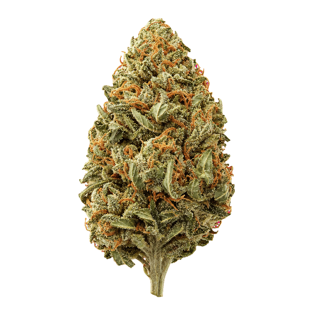 Lemon Kush