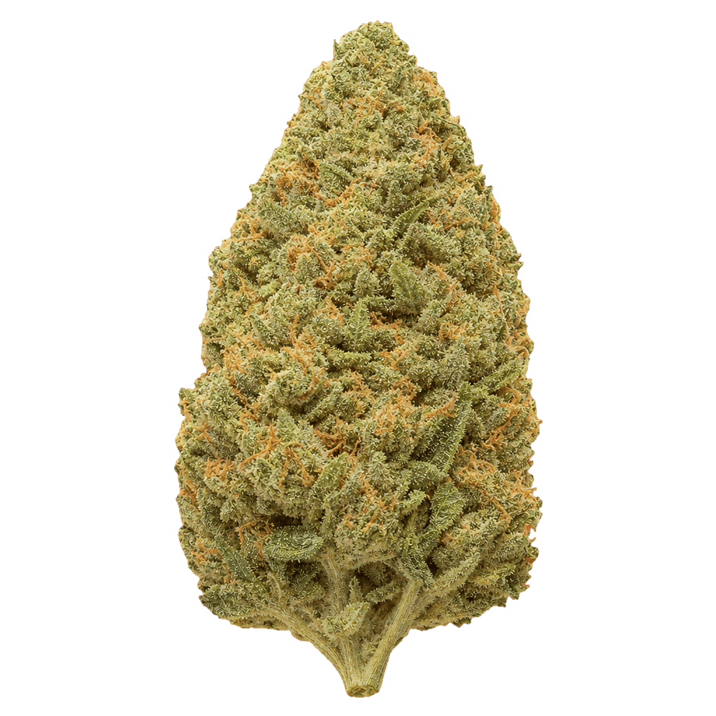 Sun County Kush