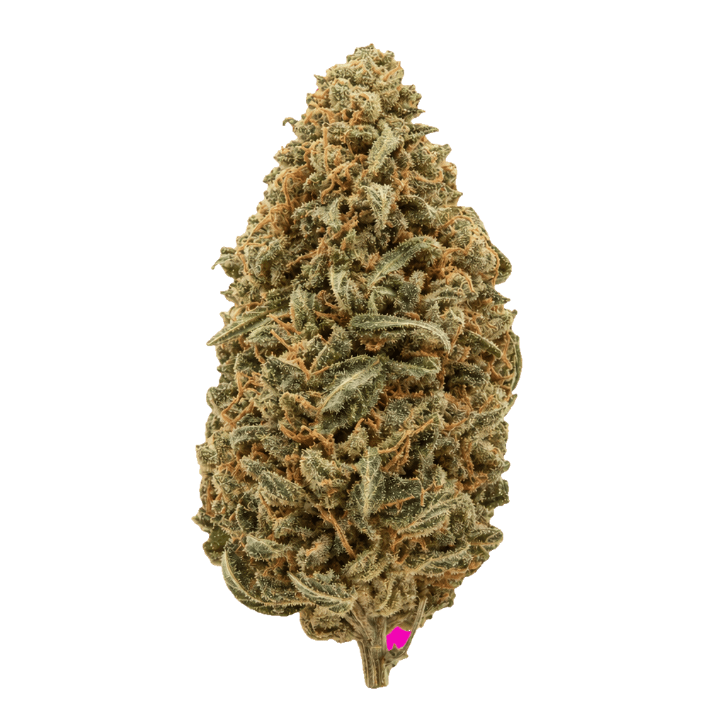 Swiss CBD