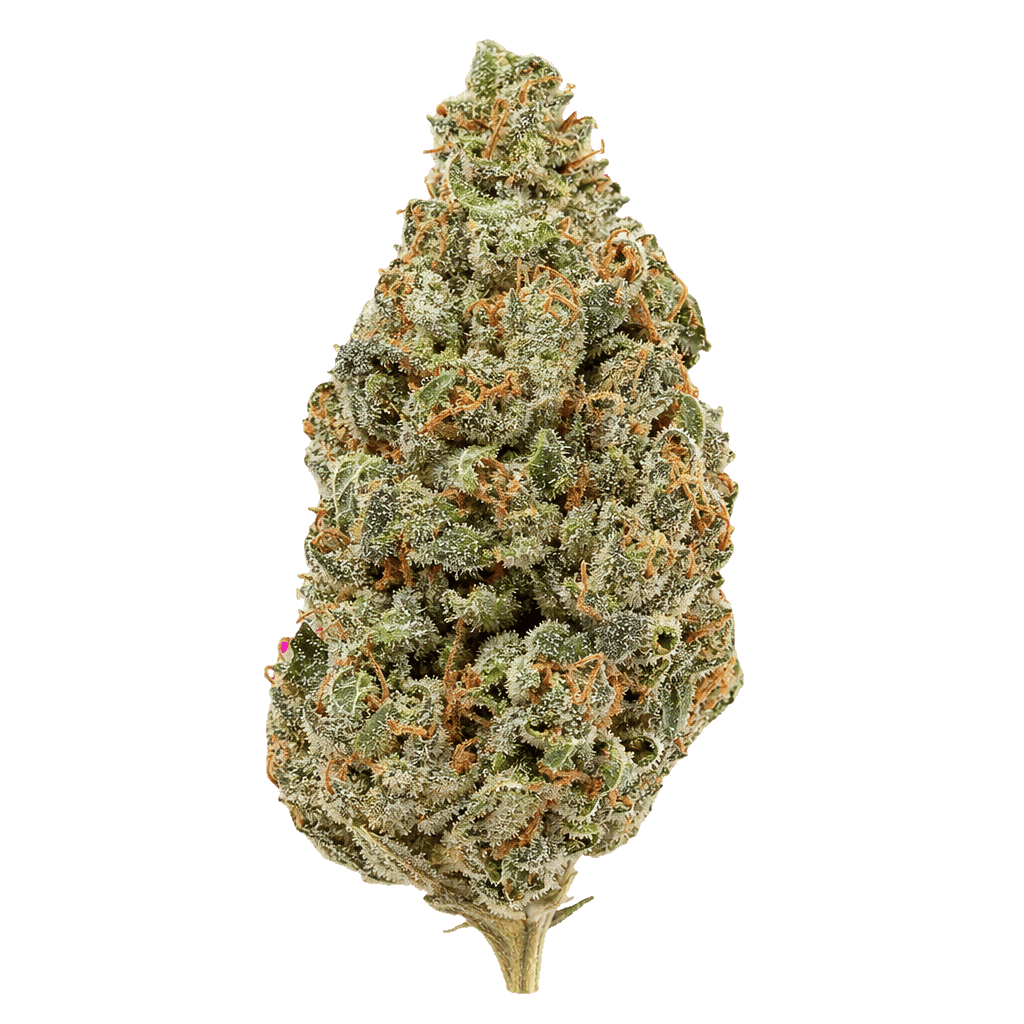 White Poison