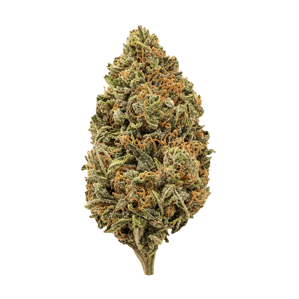 Panama Haze