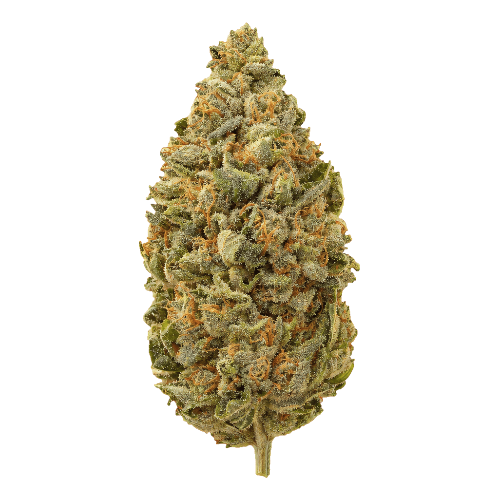 Thai Kush