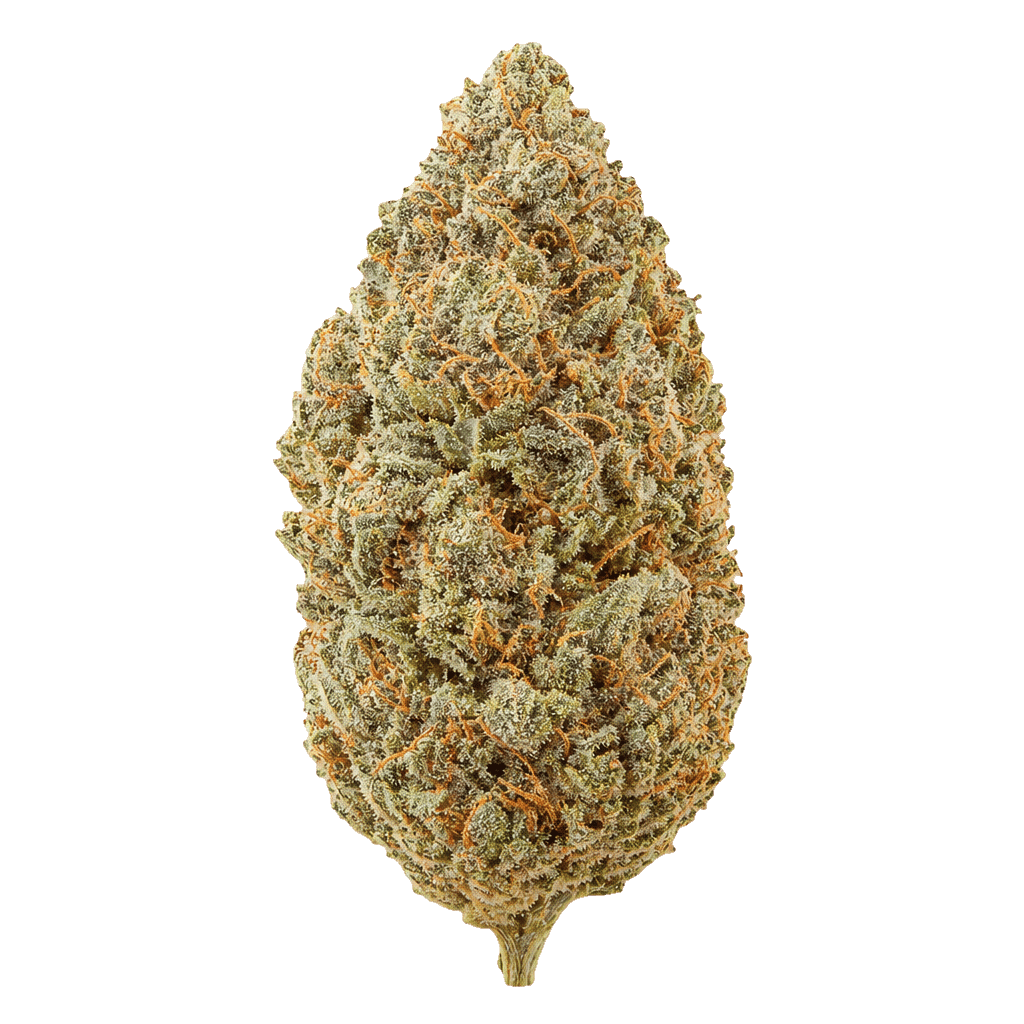 Atlantic Glue