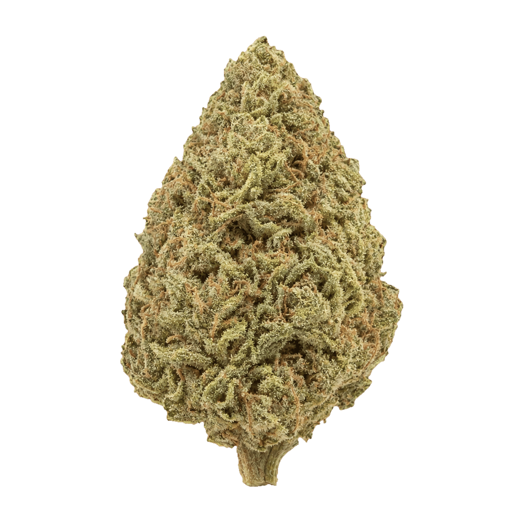 Phantasia Purp