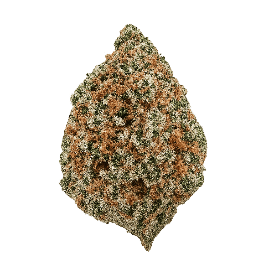 Peyote Wifi