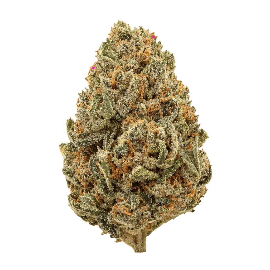Guava Haze