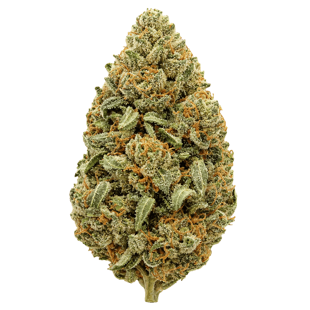 Mango Mints