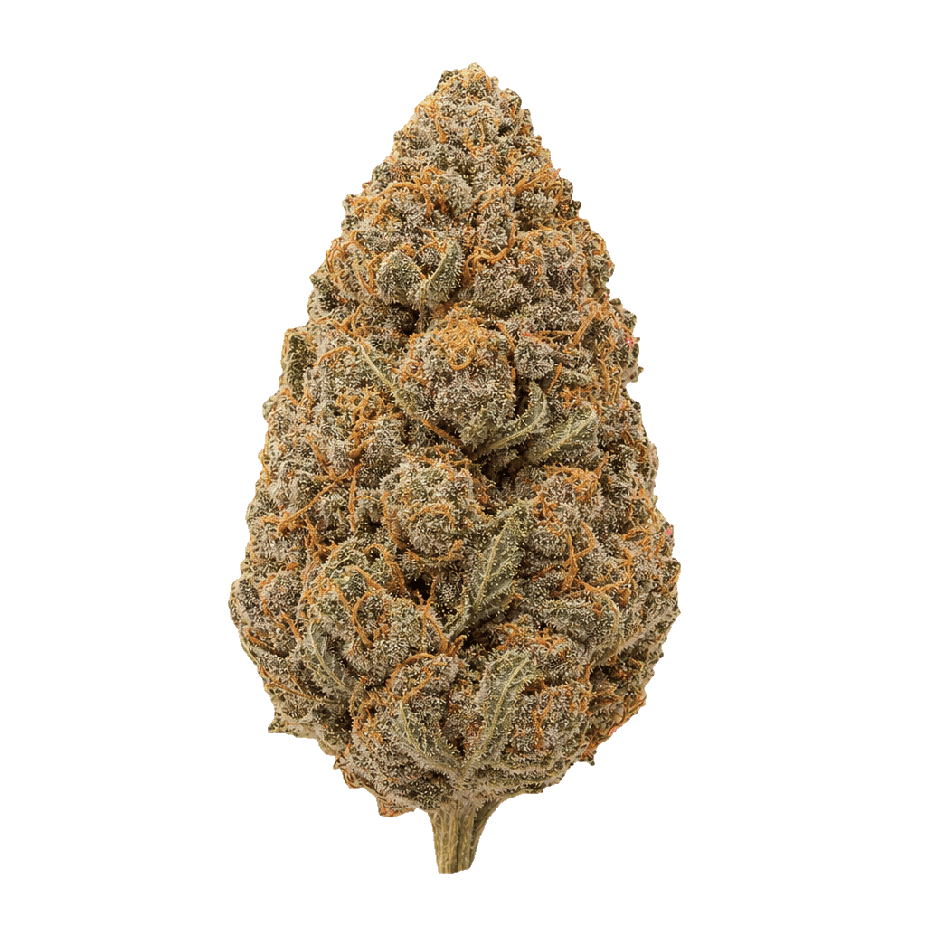 Plum x OG Kush