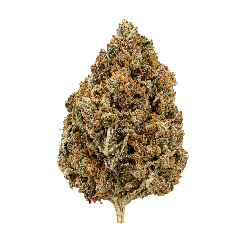 Peach Tree