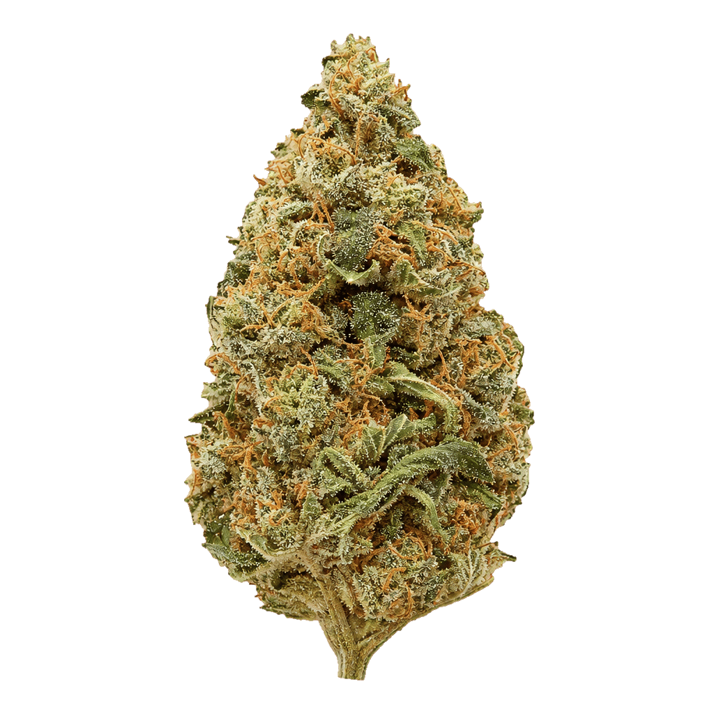 Tropical Gelato