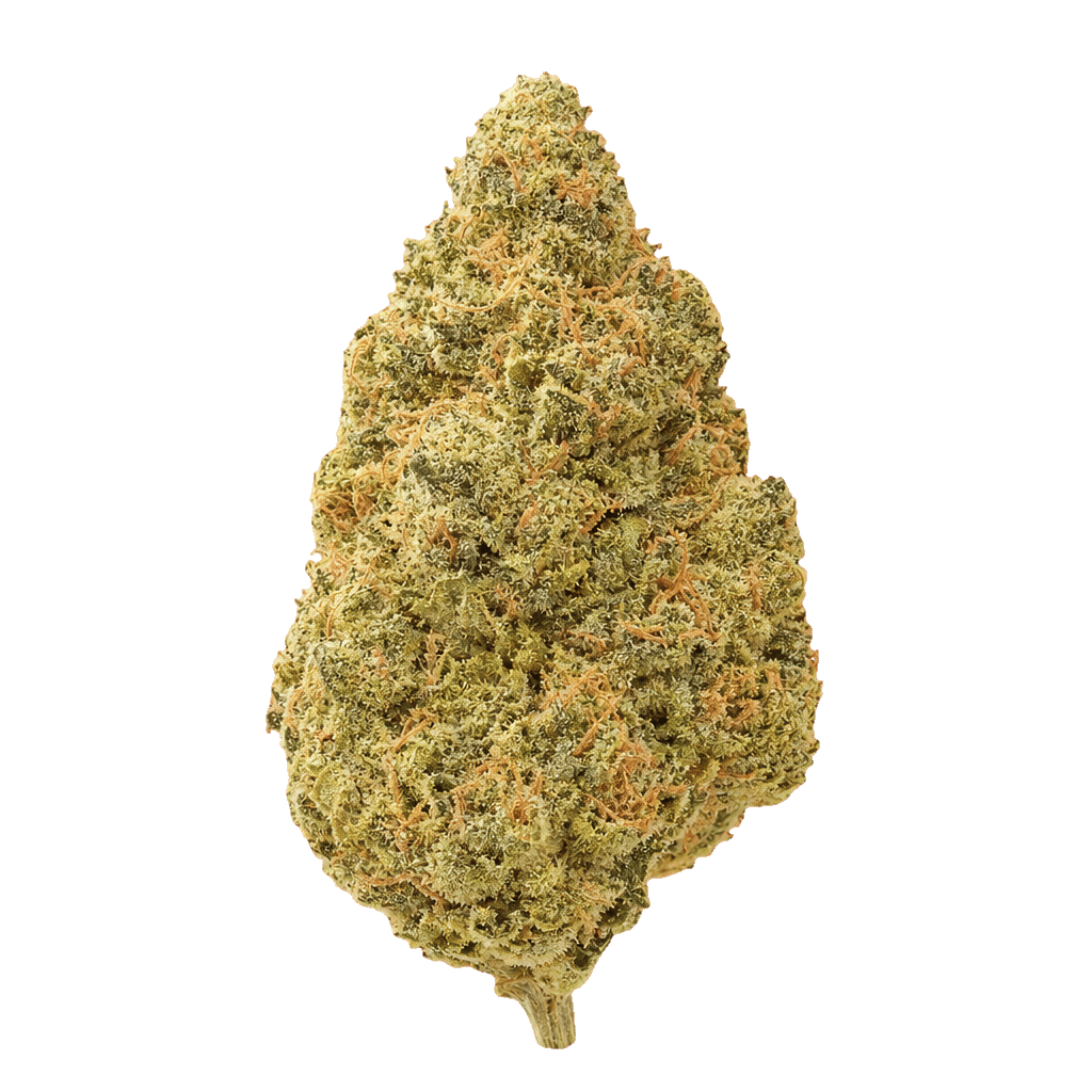 Purple Malawi