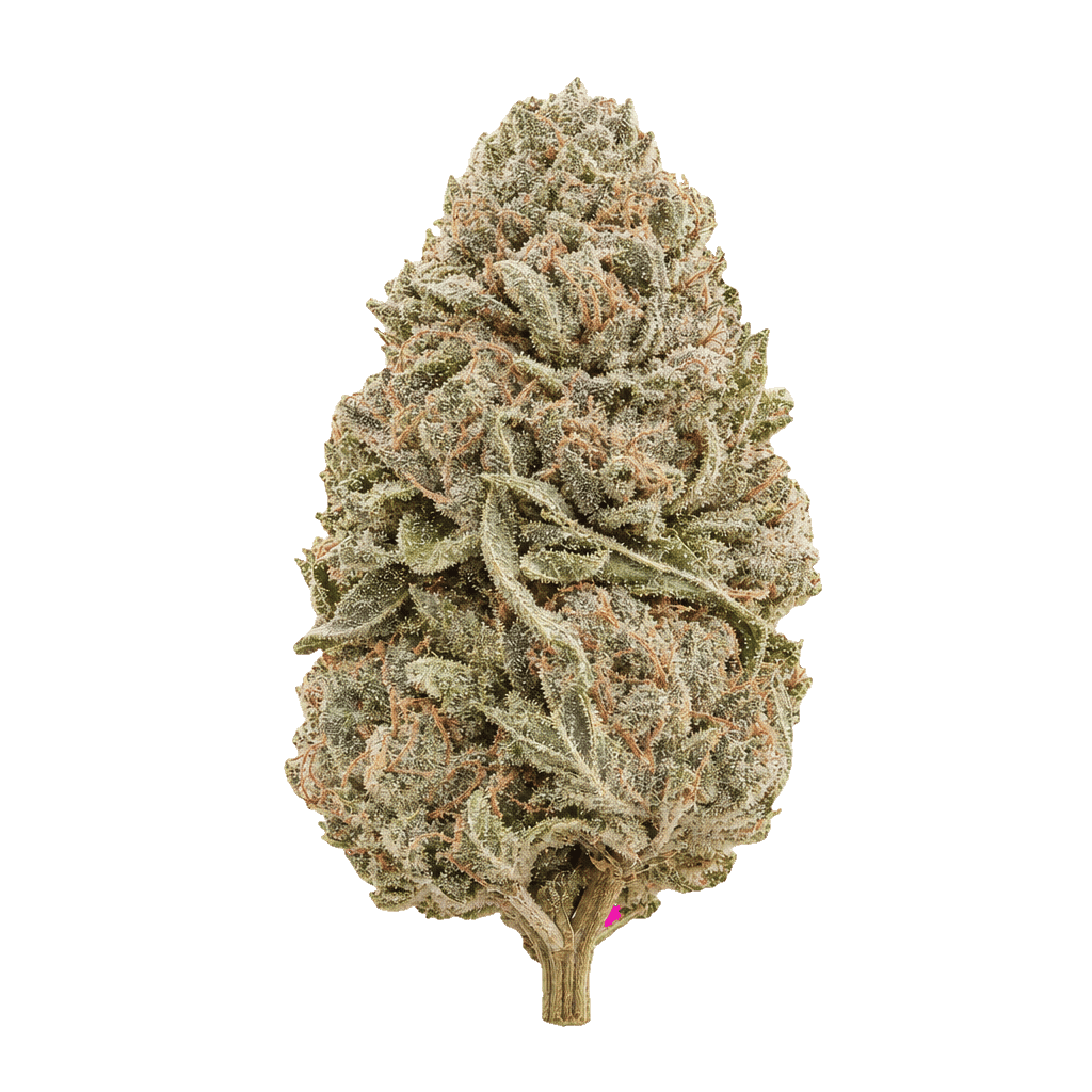 Banana Kush
