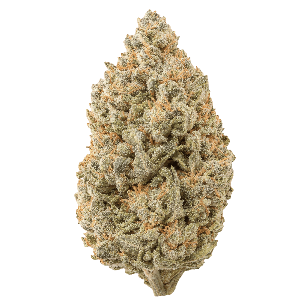 Mendo Breath