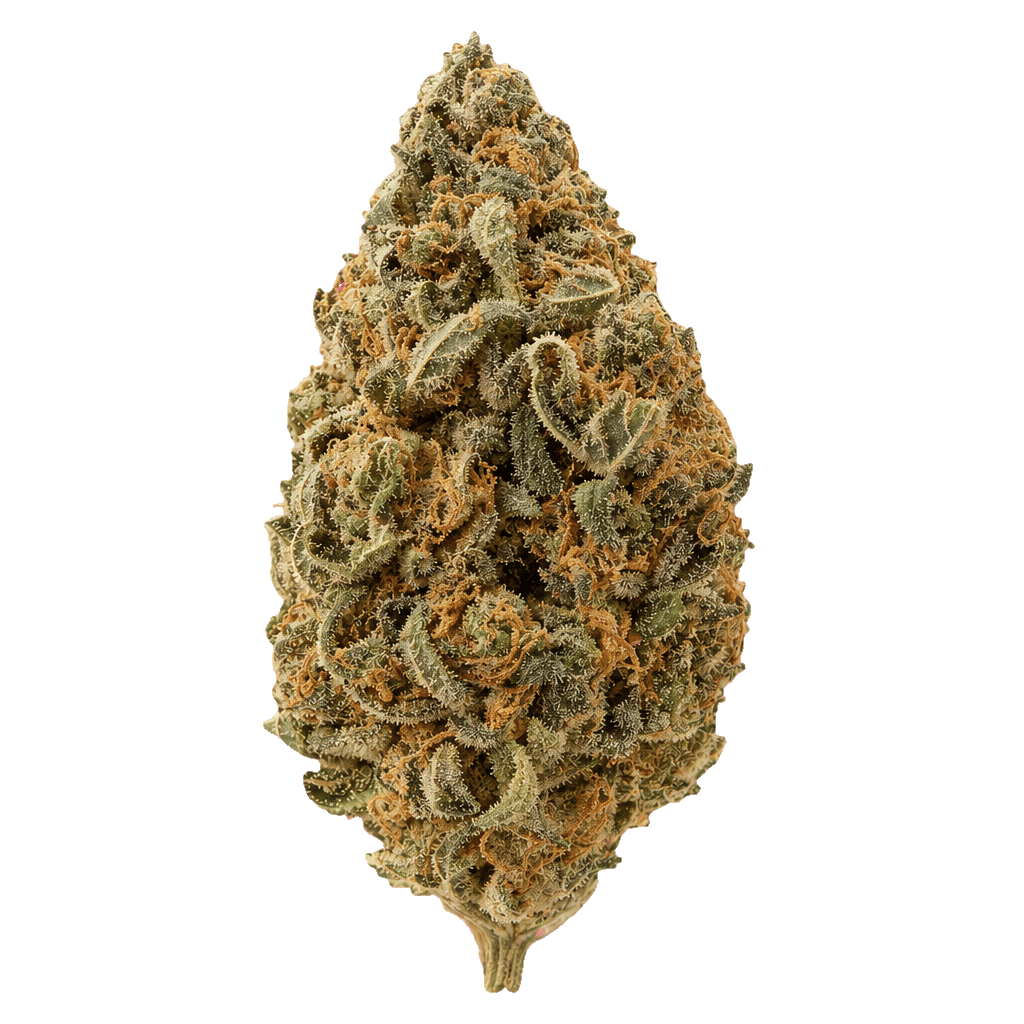Platinum Jack