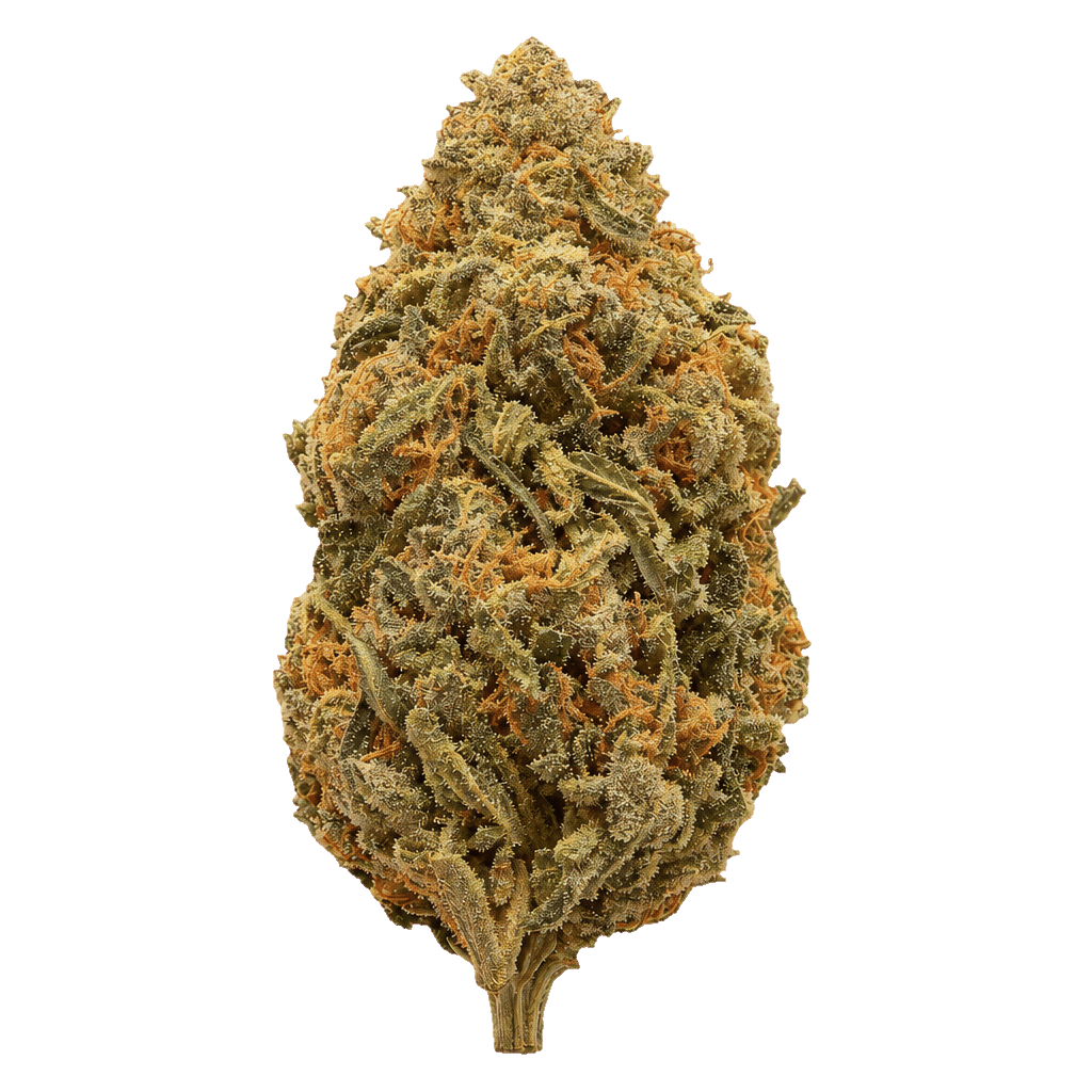 La Bomba