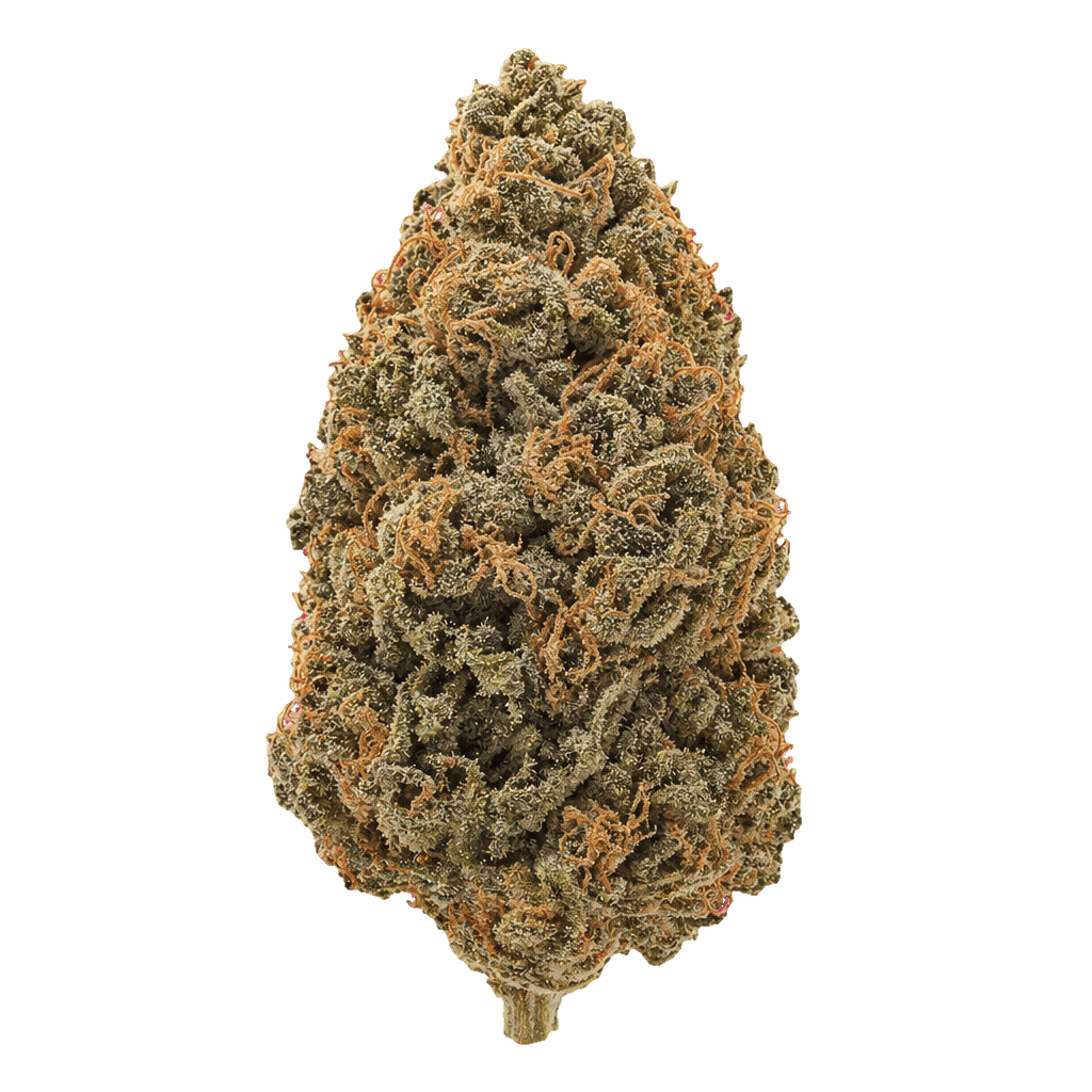 Big Kush