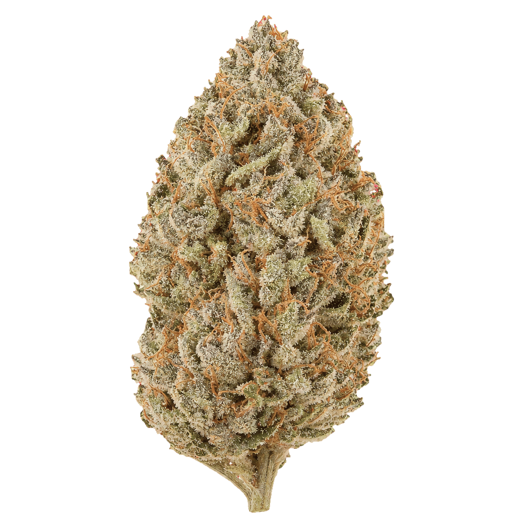Blueberry OG