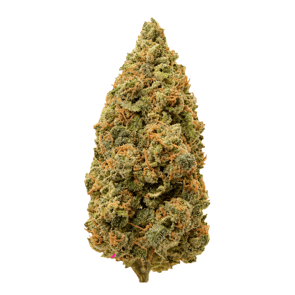 Sourflare
