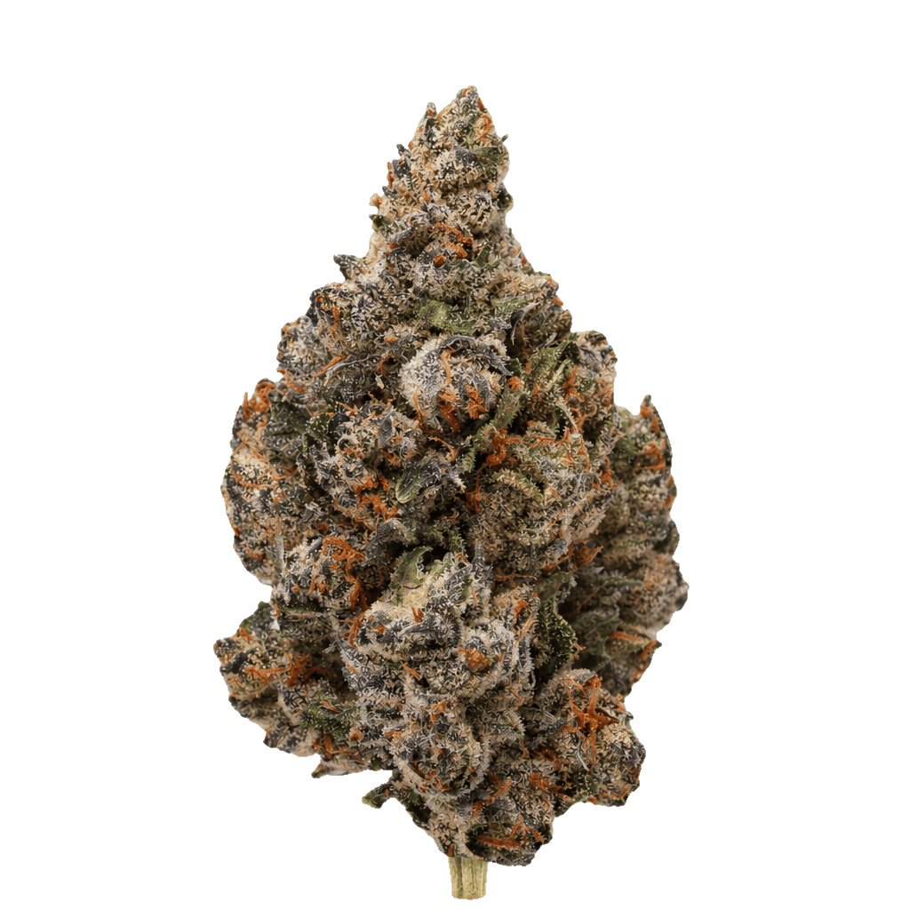 Mango Gelato