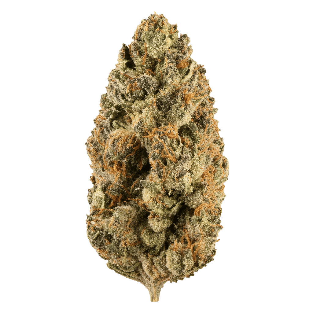 Gelato x OG Kush