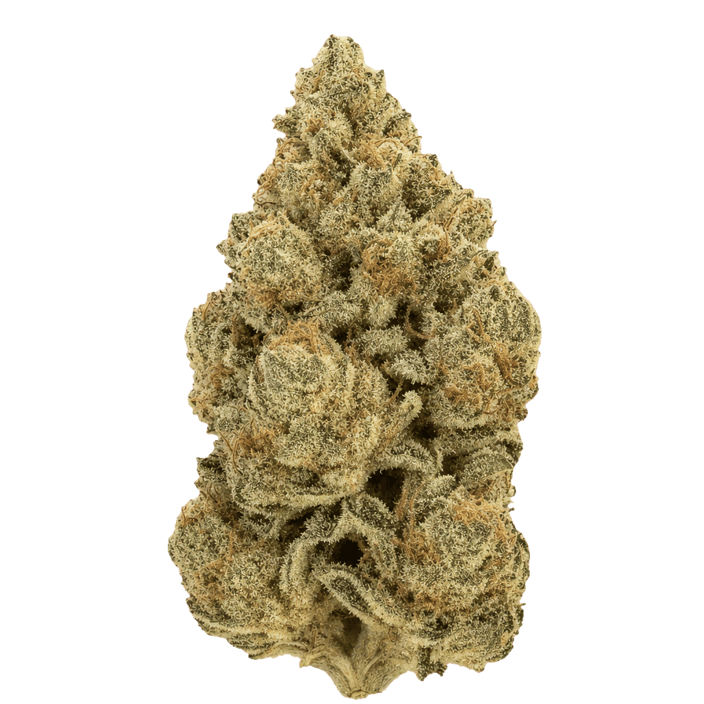 GAS