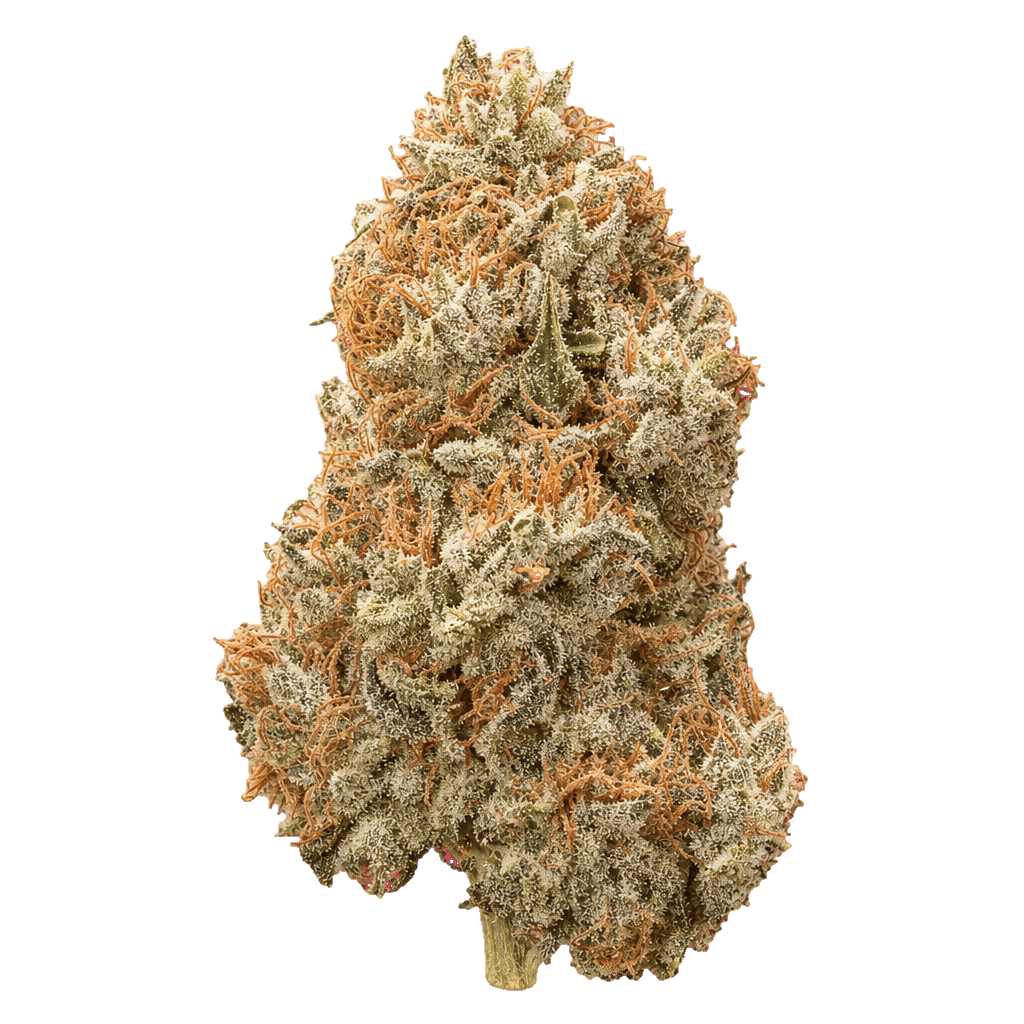 Apricot Oreoz