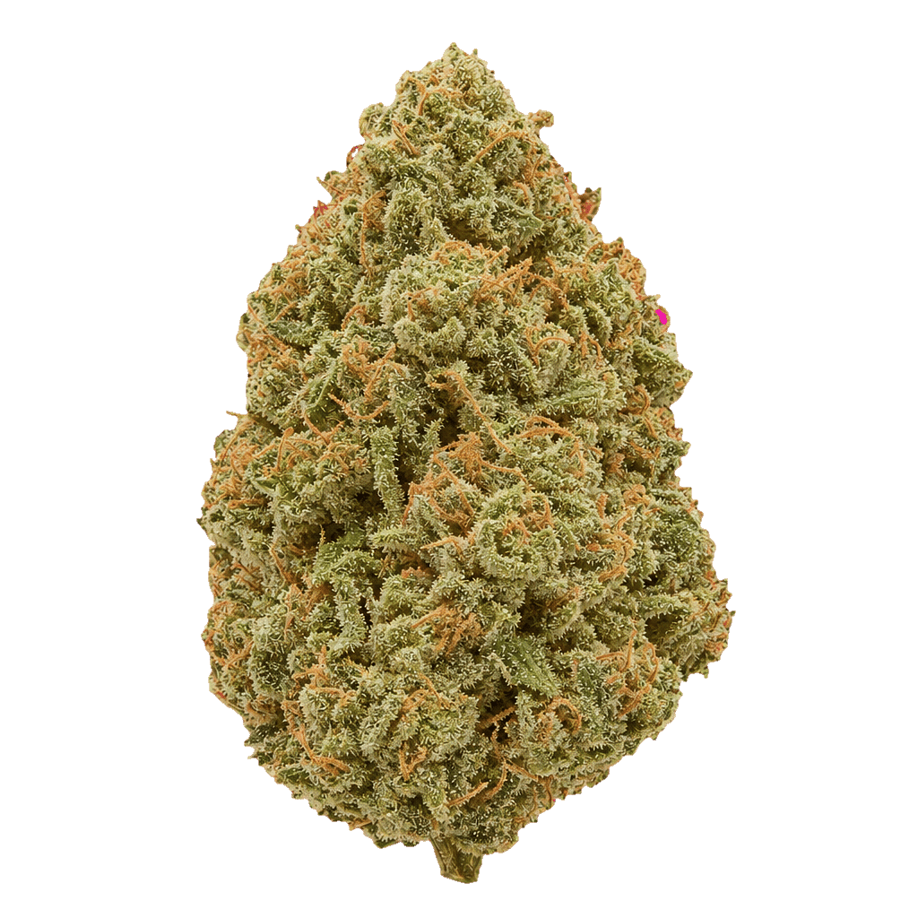 Dosidos