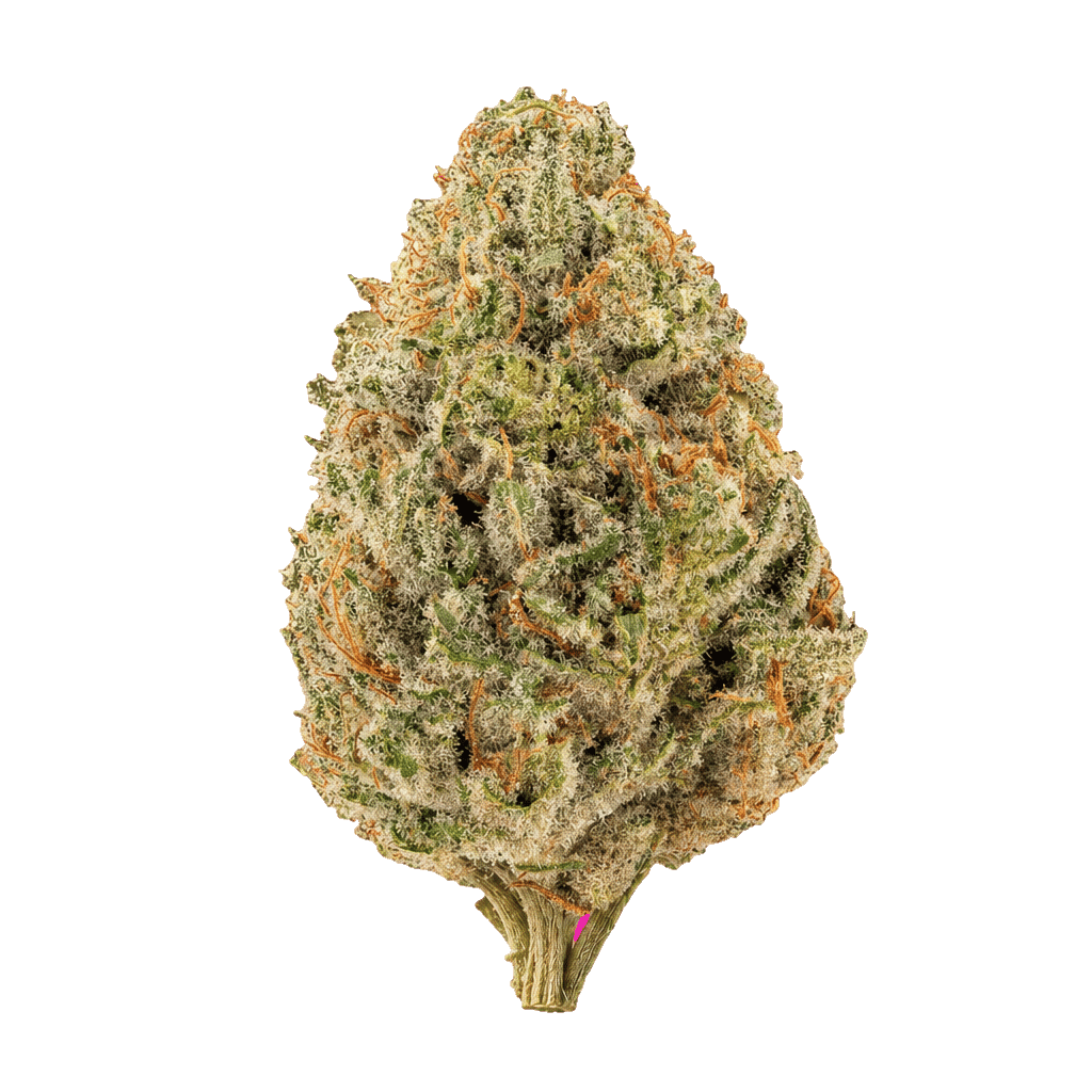 Clementine Dream