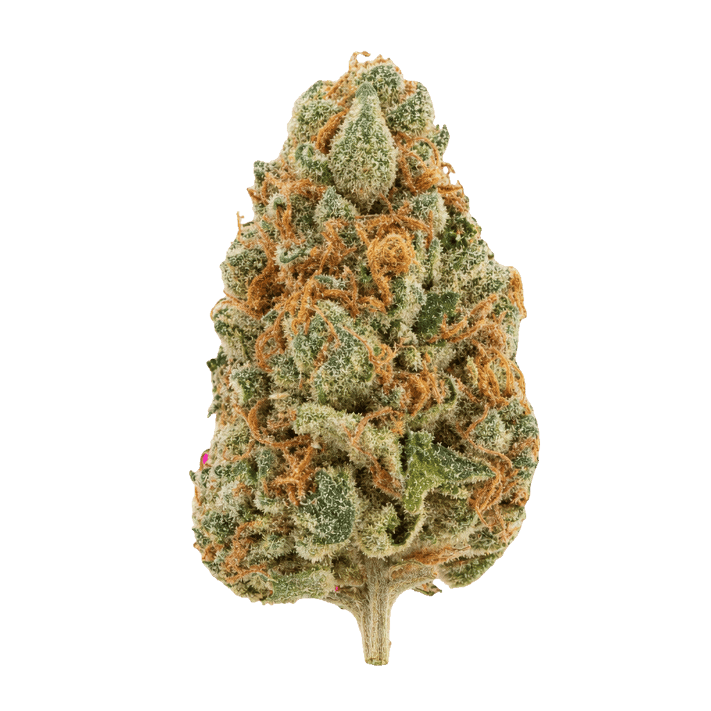Cream Cake