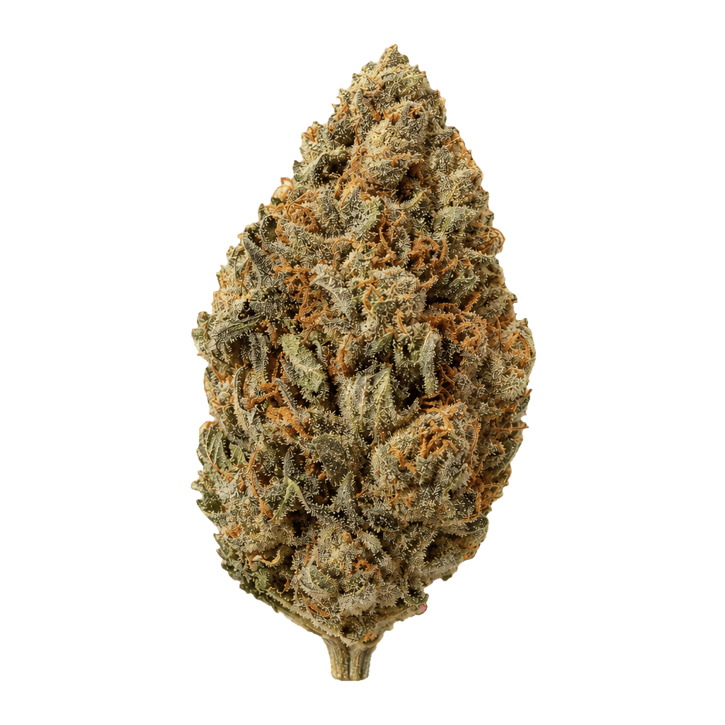 Girl Scout Garlic