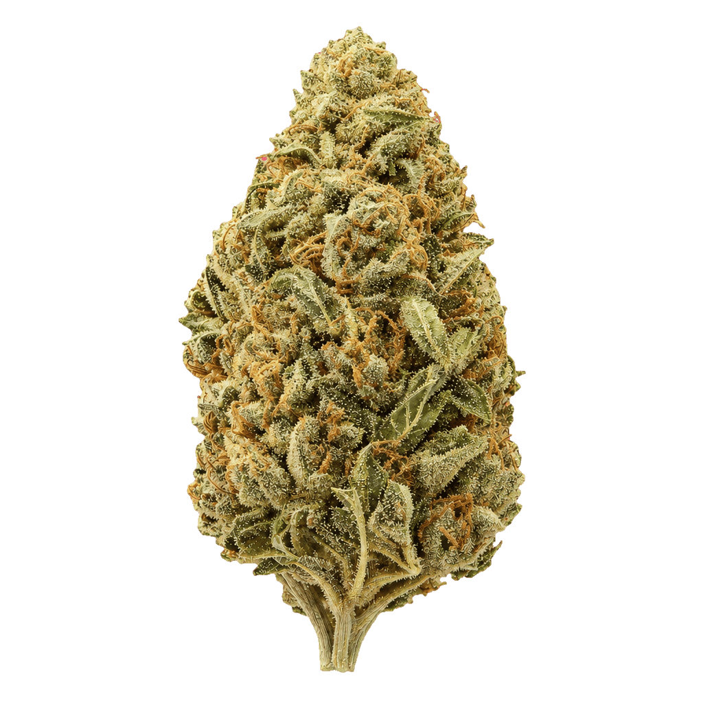 Apple Fritter x Oreoz