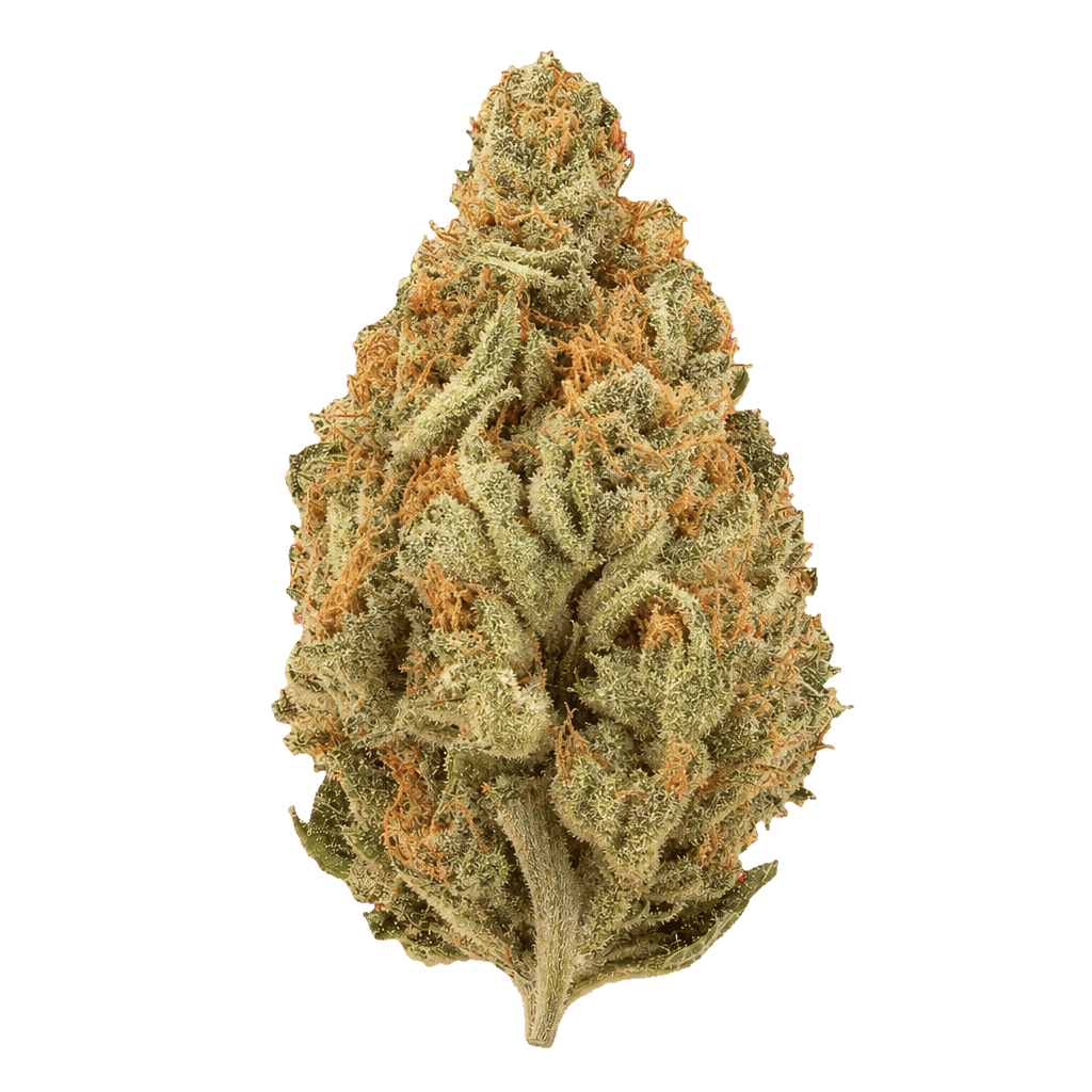 Golden State Kush