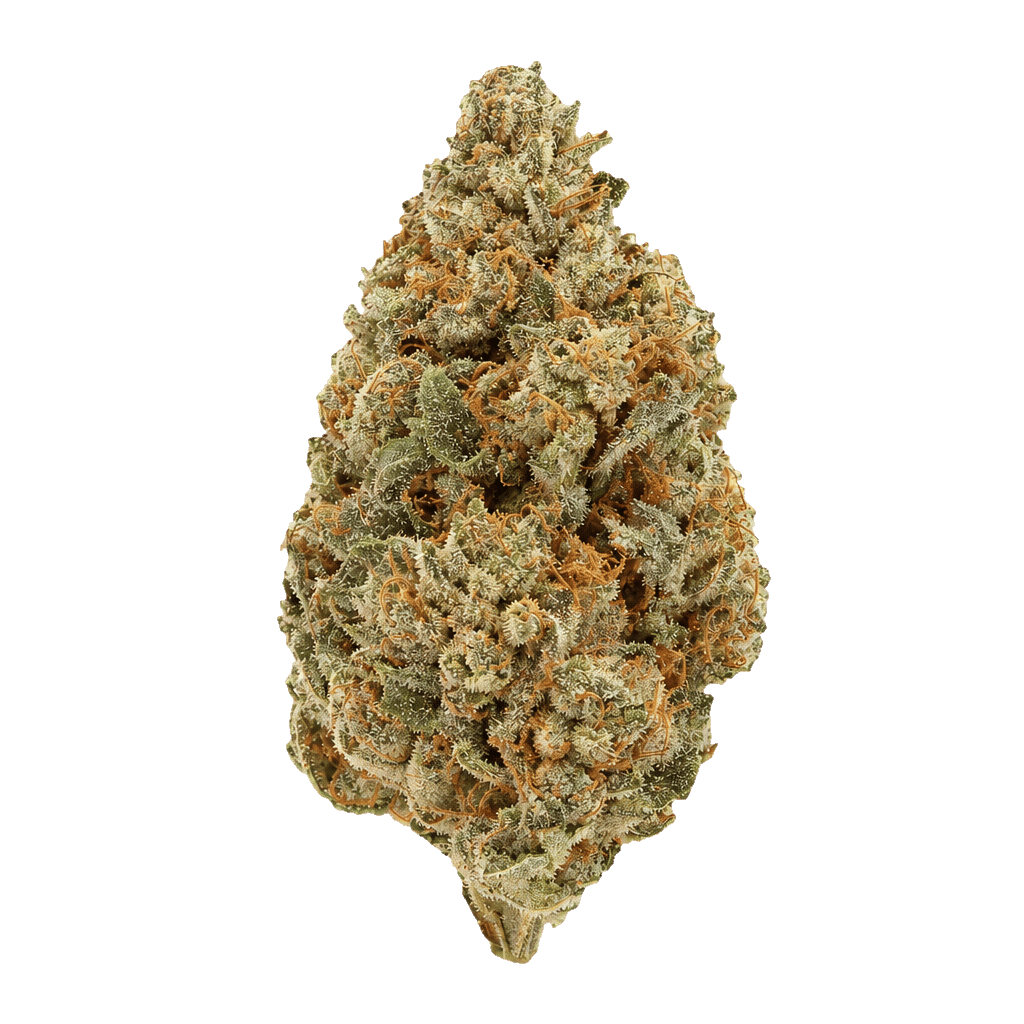 Meat Breath