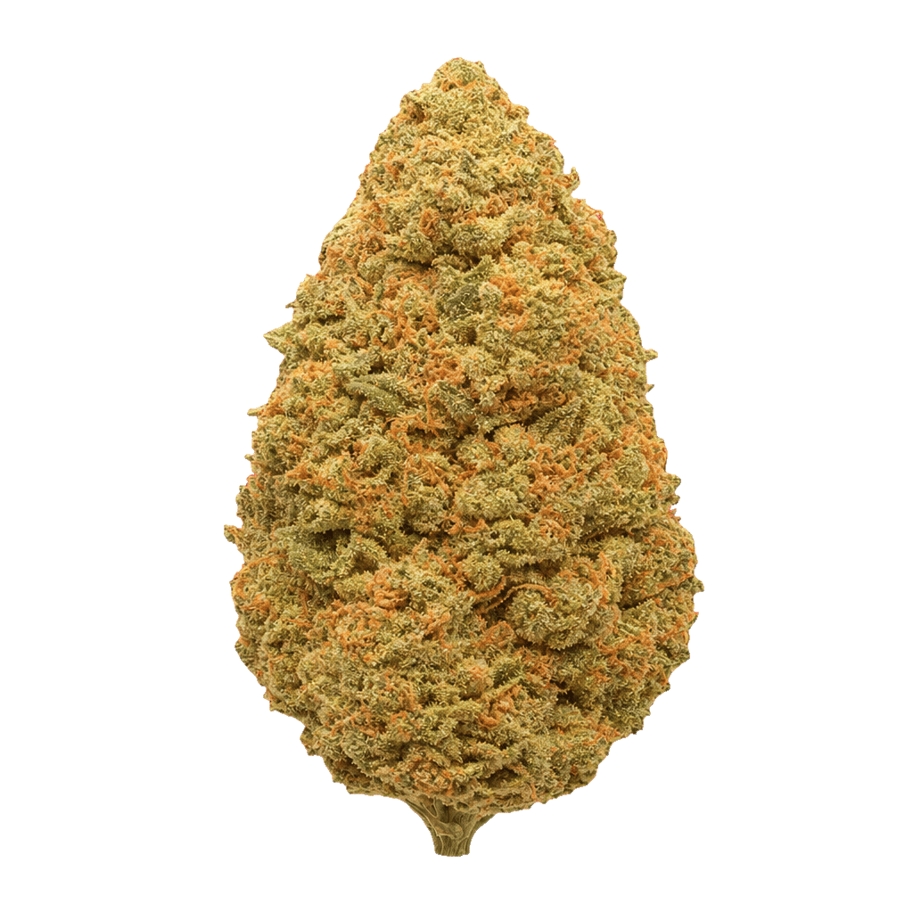 Citron Biker Kush
