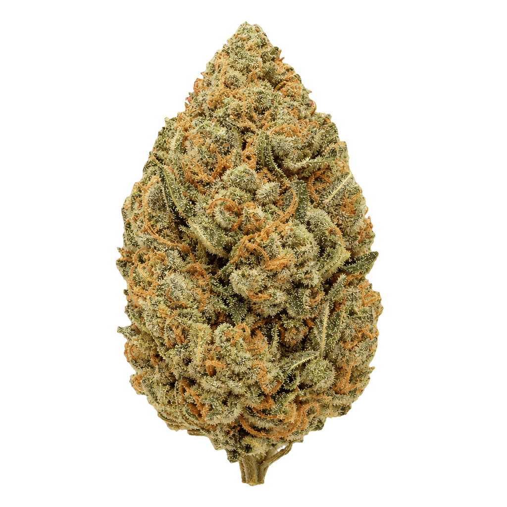 Citron Cookies x Biker Kush