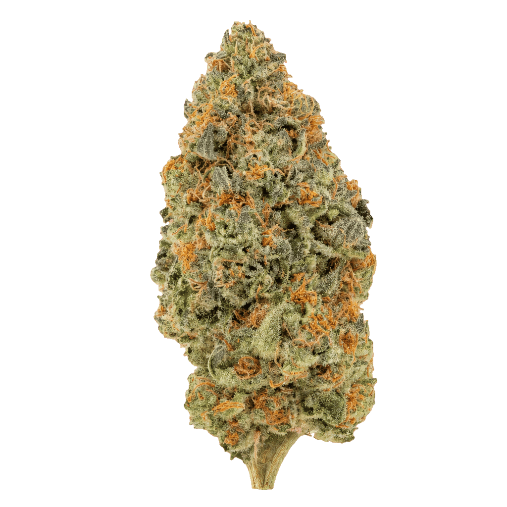 Pink Certz