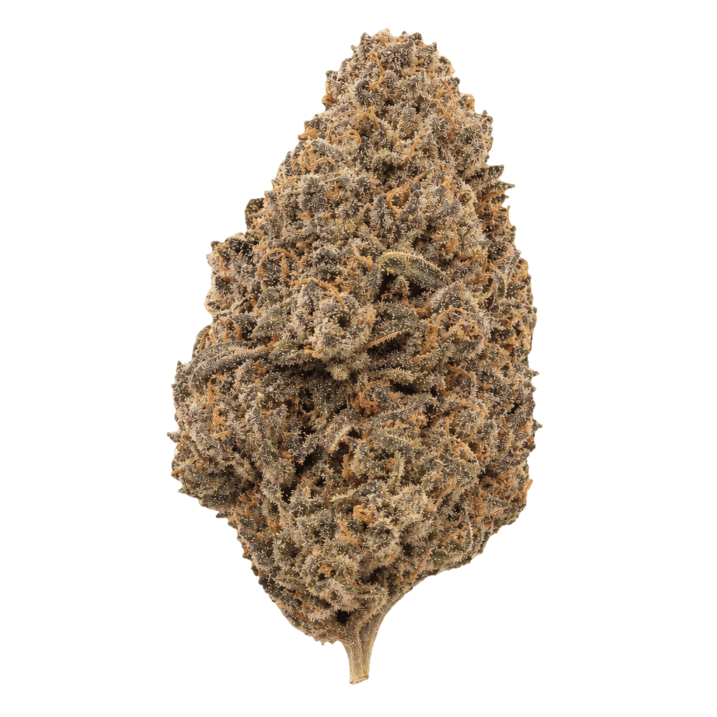 Animal Cookies x SinMints Cookies