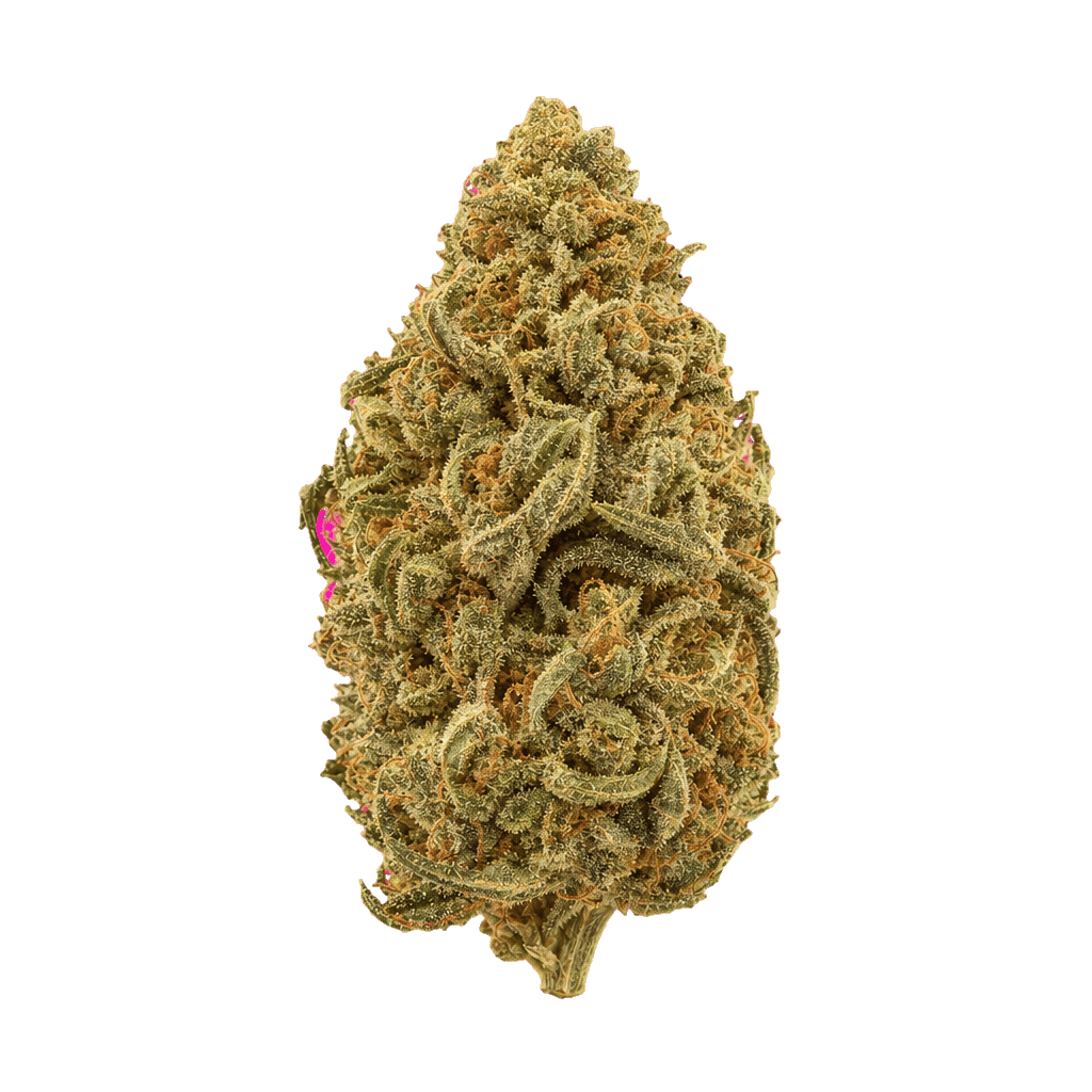 Tropical Cream Cake