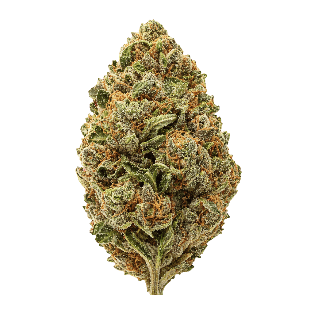 Bubblegumz