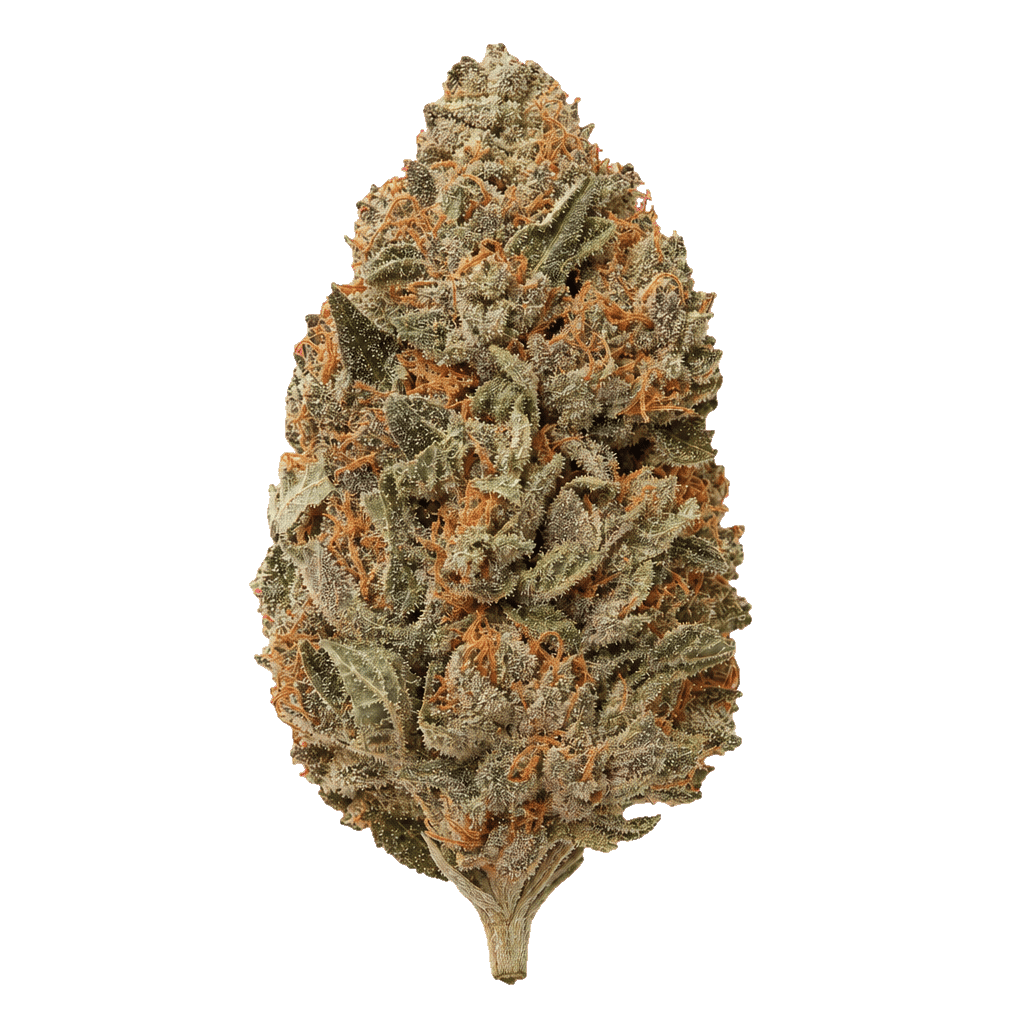 Engine Fuel Gelato