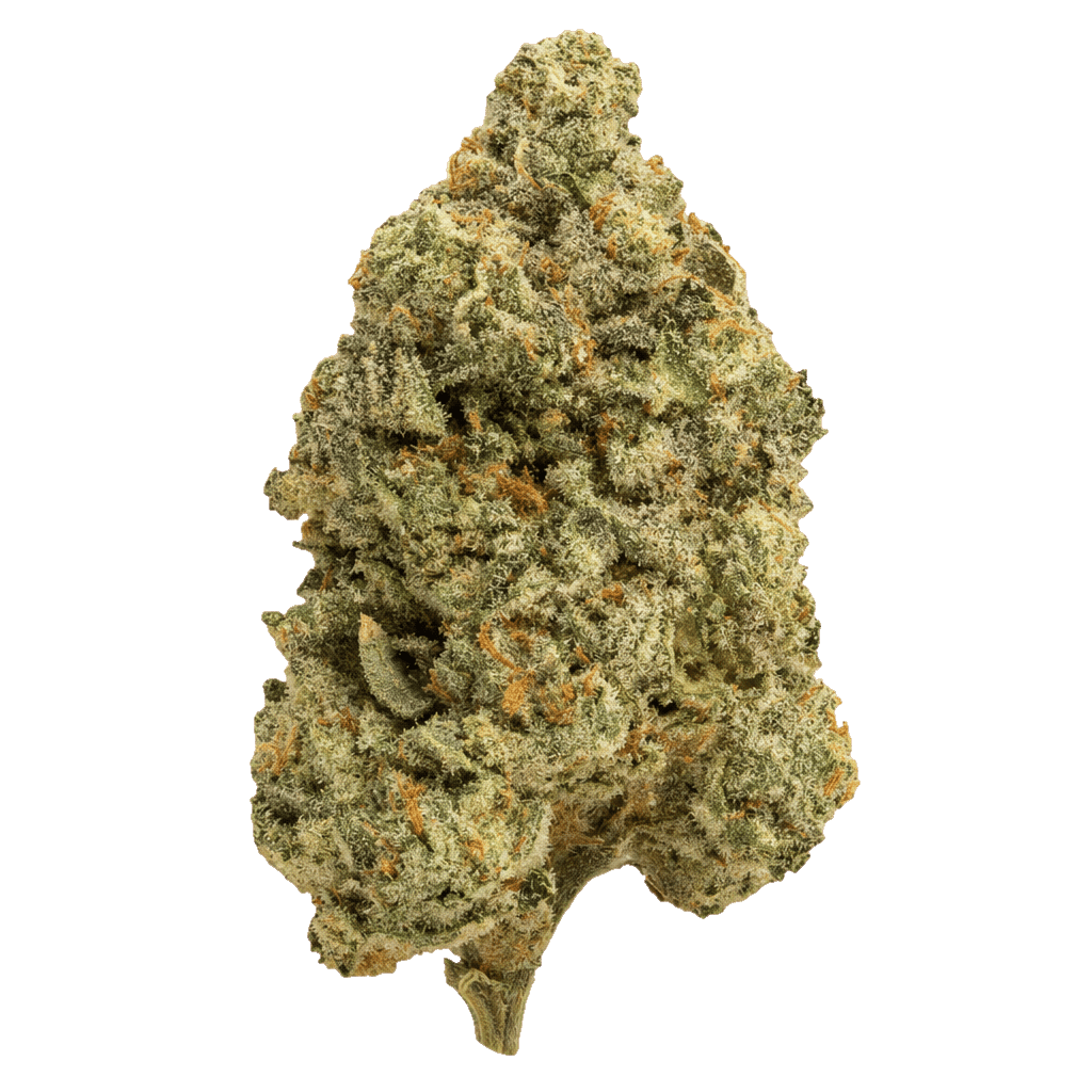 Blackscotti