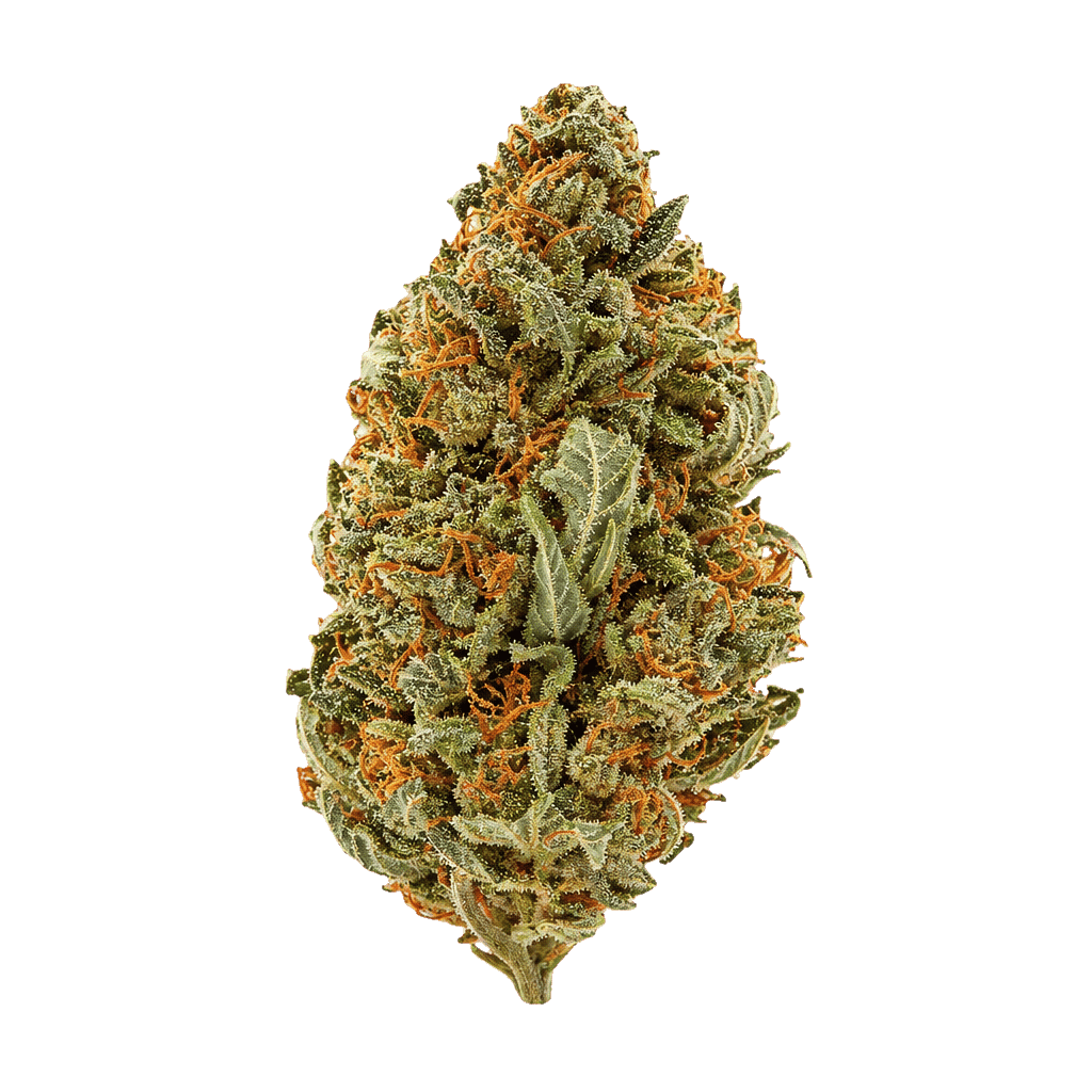 Sun Lemon Diesel