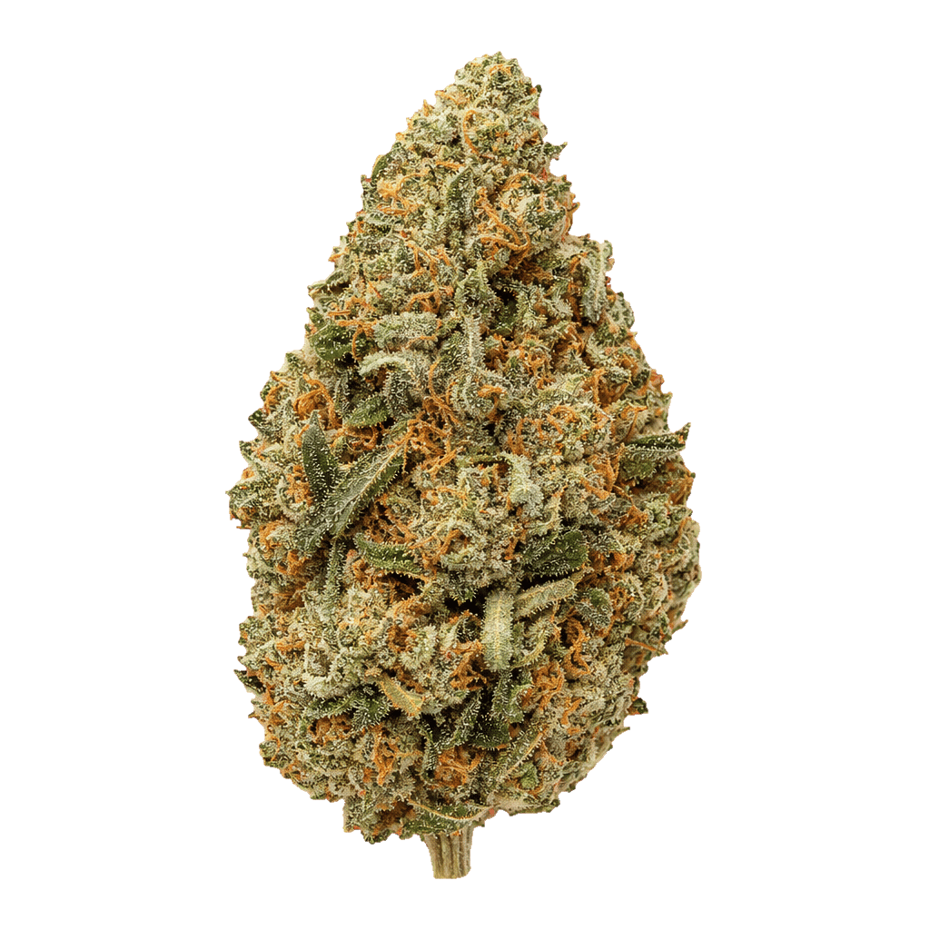 Pink Punch