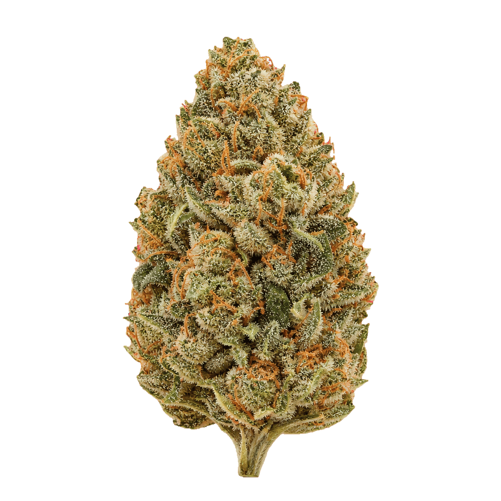 Sour Beach Pop