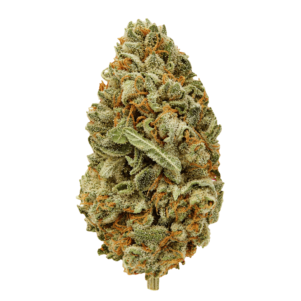 Strawberry Passion